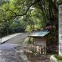 桜を求めて鳥取県を横断する旅《３》～三朝温泉街そぞろ歩き＆「依山楼岩崎」ステイ～
