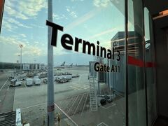 コロンボから5時間弱、シンガポールのチャンギ国際空港に到着しました！ターミナル3、ゲートA11です。