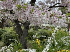 京都府立植物園