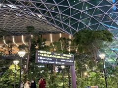 さて初めてのドーハに到着です。
小さな森がありました。