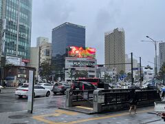 予報通り夕方からは本降りの雨になりました。午前中のうちにコンサート会場で写真を撮っておいてよかった。パネルの前で写真を撮るのもコンサートの楽しみのひとつなのでお天気は気にしたいところです。