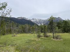 田代湿原あたりから穂高連峰が見えます。まだ雪が残っていてきれいです。