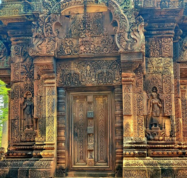 近づけないので、オペラグラスあった方が良いです。<br />綺麗～