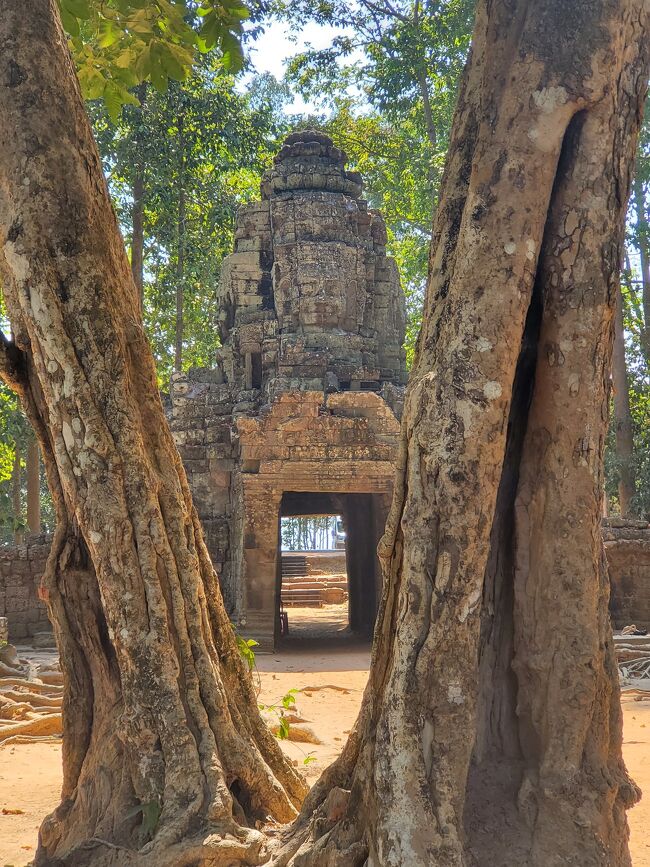 ここから撮ると良いよ！<br />と、ガイドさんのおすすめスポット。