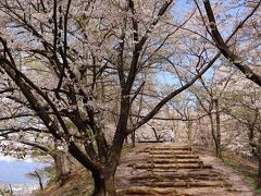 続いて、いよいよ松本弘法山古墳へ。
近づくと丘全体が桜で覆われていて、ついに来たって感じでした。
平日だったのでトイレのある最寄りの駐車場から登っていきます。
