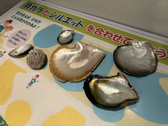 夫婦で三重旅行③ ~ミキモト真珠島・パール探し~』鳥羽(三重県 夫婦で三重旅行③ ~ミキモト真珠島・パール探し~』鳥羽(三重県