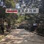 奈良最終日：若草山と長谷寺
