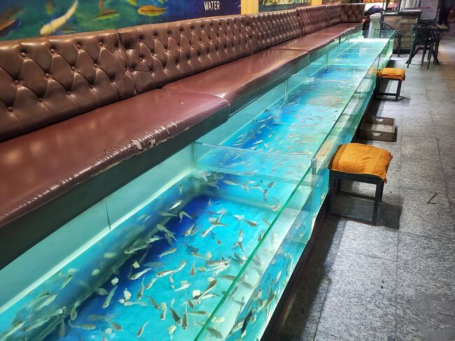 ドクターフィッシュのお店。