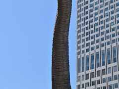 福井には、恐竜がいた。福井駅前の恐竜広場。インパクト大だ