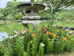 可睡ゆりの園

五色混色エリア