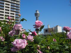 スタートはアメリカ山公園

元町中華街駅からエレベーターで直結しているのでありがたい。