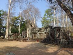 シェムリアップの北東約100kmのジャングルの中に10世紀に造成された都城遺跡群、コー・ケー考古遺跡（世界遺産）に到着しました。（入場料：15ドル）
遺跡が広い範囲に点在しています。
まずは、代表的な遺跡プラサット・トムへ。