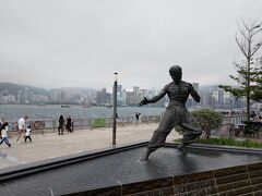 夢にまで見たブルース・リー！