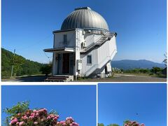 星と緑のロマン館から小川村天文台への160段の階段の
石楠花が満開できれいです