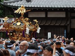 神輿は伝法院通りに入っていきました。
背景の建物と神輿がベストマッチ！