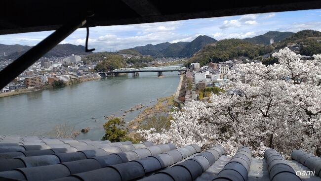 ちょっぴり開いた隙間から見える景色もすばらしい。