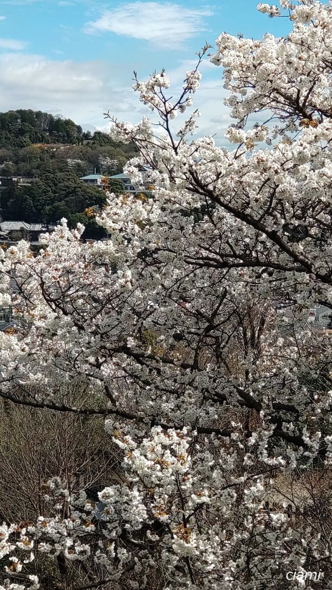 いいタイミング。