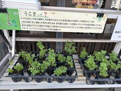 上杉城史苑