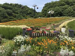 神戸布引ハーブ園/ロープウェイ