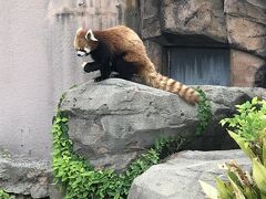 神戸市立王子動物園