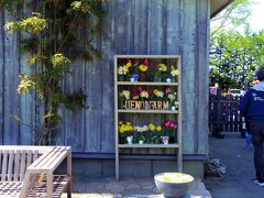 さて、今年初の上野ファームへ。