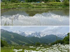 旅の締めくくりは白馬村の中からの花と白馬三山、
田んぼに映る逆さ白馬三山です♪
今回も天候に恵まれて絶景を楽しむことができました。
本当にありがとうございした、感謝感謝です♪