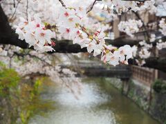 桜の時季の祇園白川が好きで何度か来ています