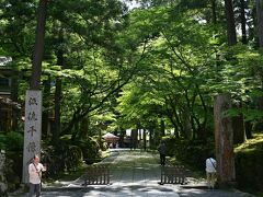 　7分ほど歩いて永平寺入り口へ。目がよくなるような緑だ