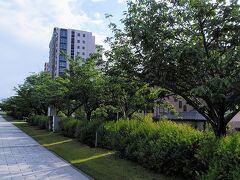 やすらぎ堤