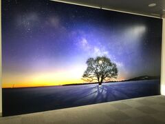 入口スグのでっかい作品。