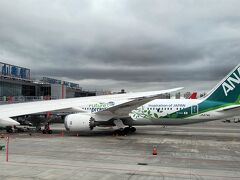 何事もなく松山空港へ着陸。
この色のANA機を初めてみたので思わず撮影。