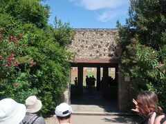 カメオ店を出て、３回目となるポンペイ遺跡を見学します