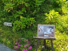 喫茶 吉野