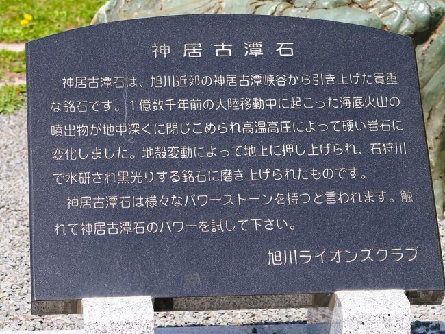 旭川-6 神居古潭石 貴重な鑑賞石*PowerStone ☆北彩都ガーデン 旭川-6 神居古潭石 貴重な鑑賞石*PowerStone ☆北彩都ガーデン