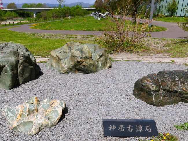 旭川-6 神居古潭石 貴重な鑑賞石*PowerStone ☆北彩都ガーデン 旭川-6 神居古潭石 貴重な鑑賞石*PowerStone ☆北彩都ガーデン
