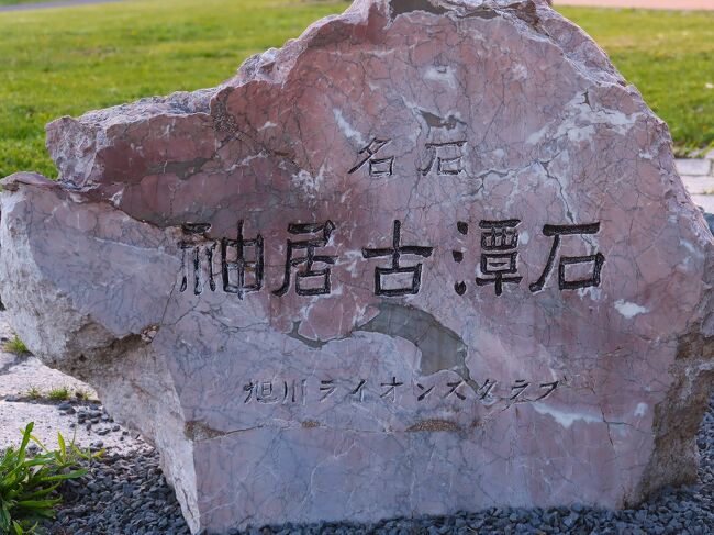 旭川-6 神居古潭石 貴重な鑑賞石＊PowerStone ☆北彩都ガーデン