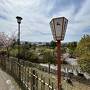 神戸・京都・奈良・大阪３日で８万５千歩【その33】"奈良ホテル" は、お値段もハイソだったので、商店街の "麺屋K" で "鶏つけ麺"！
