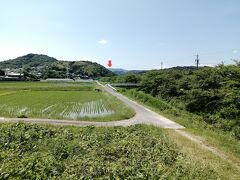 竜泉寺川に沿って南下します。
赤矢印の地点がこれから目指す桑谷山頂上。写真では分かりずらいですが、白いドーム型の「三河航空路監視レーダー」が建てられています。ちなみにですが、ここの桜並木はなかなかのもんです。穴場スポット。