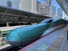 今回は14人のツアーでした。
19名以下、となっていて最後はキャンセル待ちだったので、19人かと思っていたのですが、急なキャンセルが出たのか、ホテルが取れなかったのか、最終的には14人でした。ご夫婦が3組、女性同士が2組、親子1組、一人旅の方が男性と女性1人ずついました。
10時半にいつもの東京駅日本橋口に集合して新幹線に乗ります。ちいかわのお店の前が大行列でびっくりしました。