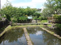 三島梅花藻の里にやって来ました。