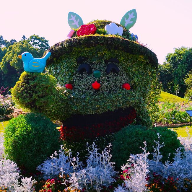 浜名湖花博-3 はままつフラワーパークc 大噴水Show 花菖蒲園