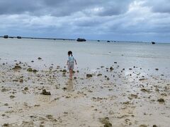 娘はさっそく佐和田の浜へ！
引き潮で17エンドまで歩いて行けそうです！（ホントか？）