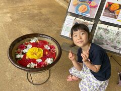 そして花が綺麗なユートピアファームに。