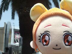 at KSWD---.

&#10077;椰子の木&#10078;に来ました&#127965;&#65039;&#10024;
(『chocoZAP』行く前にﾊﾟｼｬﾘ(^_-)-☆)