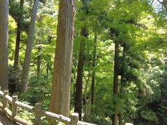 箕面公園