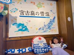 雪塩と宮古島サイダーのクッション
