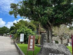 ようやく着きました、首里城公園

首里城はこの先を進むとあります