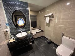 バスルーム。バスタブにGを発見したり、お湯が出にくかったりと、少々気になる点はありましたが、お手頃価格なので全然良しです。