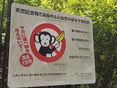 箕面公園