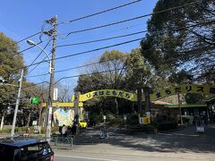 町田薬師池公園四季彩の杜リス園(町田リス園)